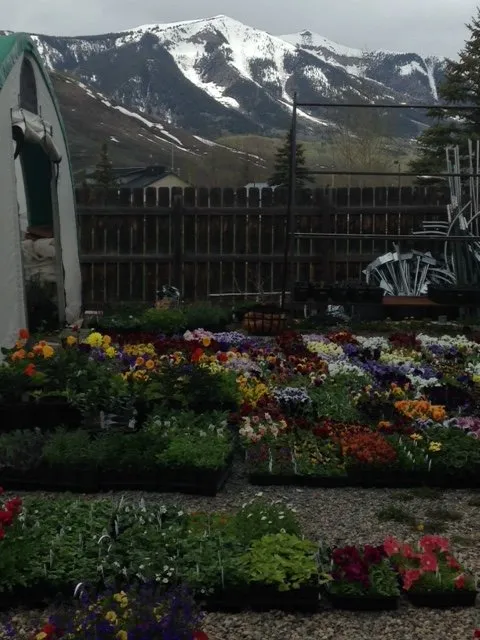 Affordable yard cleanup service for outdoor upgrades across Crested Butte, CO - Alpengardener