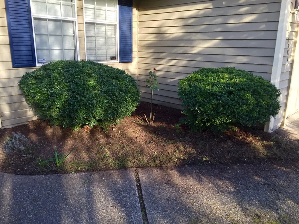 Custom lawn mowing service in Snoqualmie, WA - Alpenglow Landscaping