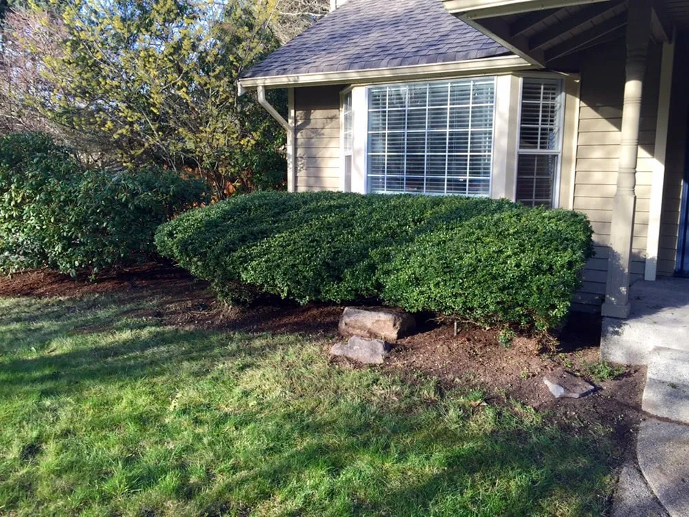 Top-rated landscape installation in Snoqualmie, WA - Alpenglow Landscaping