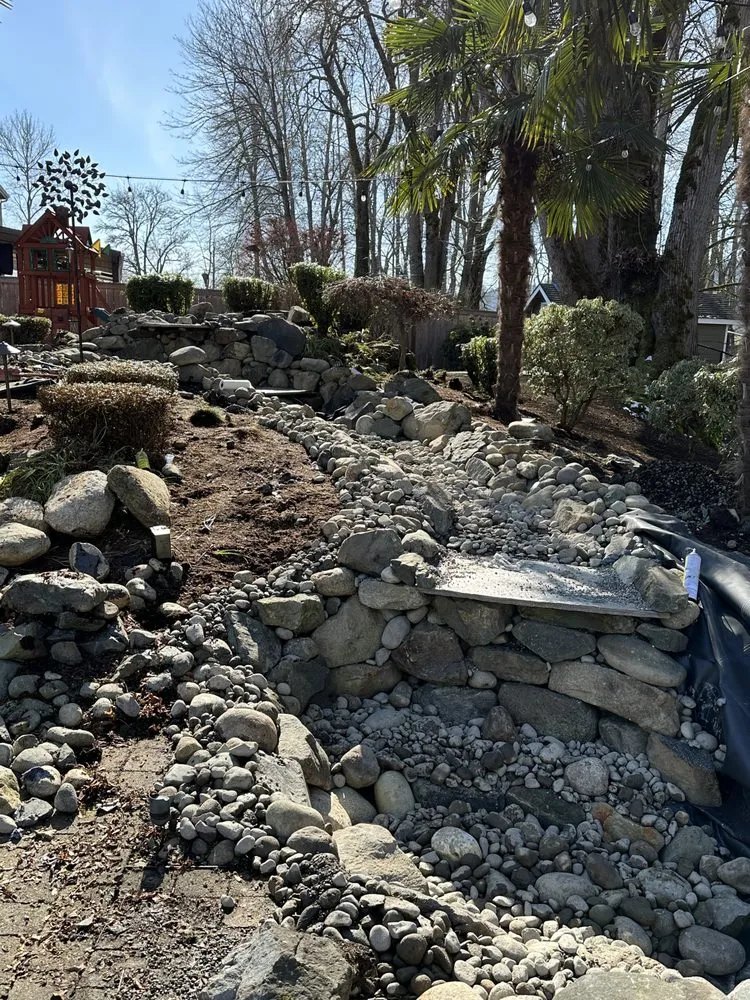 Professional yard cleanup service in Tacoma, WA by Alpha & Omega Construction