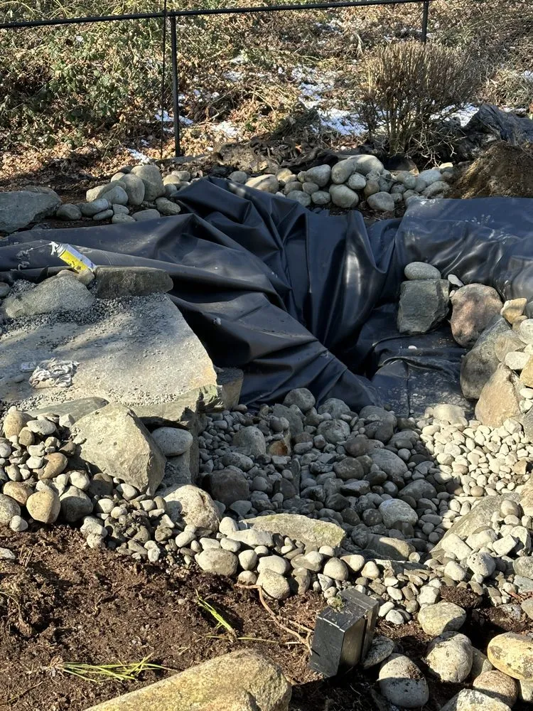 Professional yard cleanup service for homes in Tacoma, WA by Alpha & Omega Construction