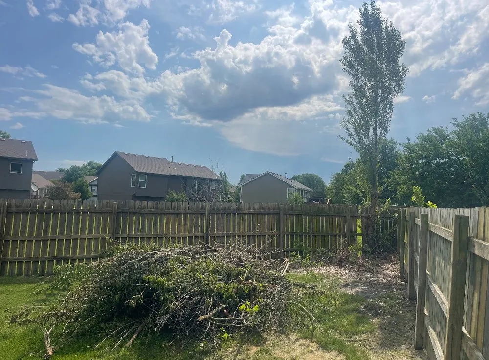 Custom lawn care service for homes across Kansas City, MO - Alpha & Omega