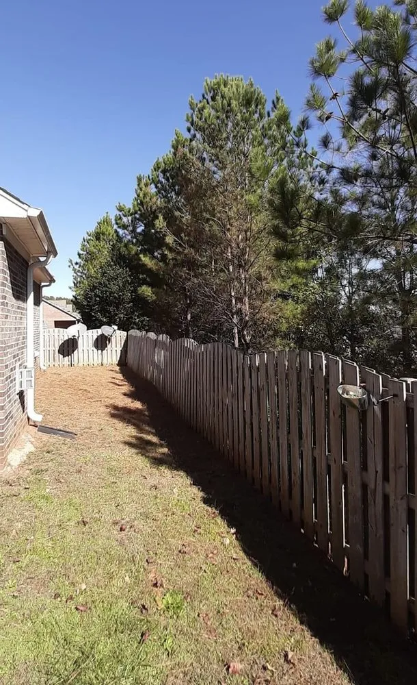 Reliable yard cleanup service in Kansas City, MO - Alpha & Omega