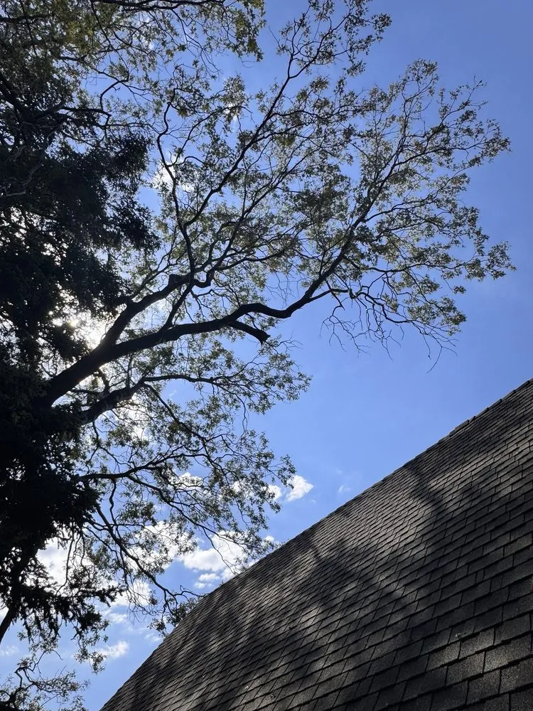 Custom landscaping services in Apple Valley, CA - Alpha & Omega Landscaping