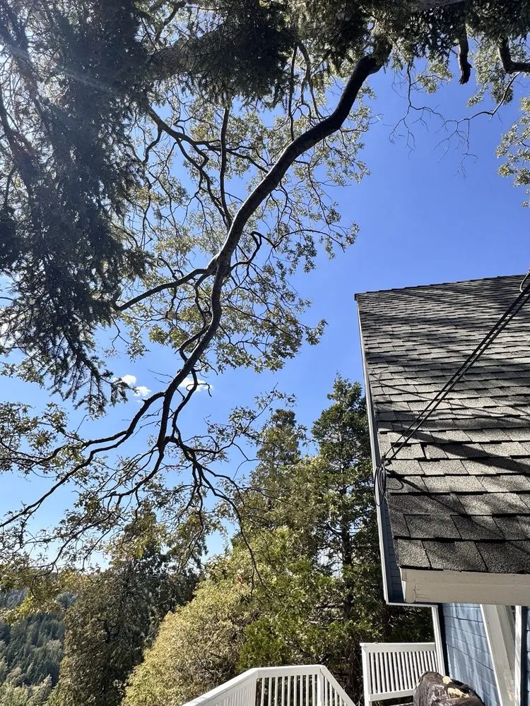 Local yard cleanup service in Apple Valley, CA by Alpha & Omega Landscaping