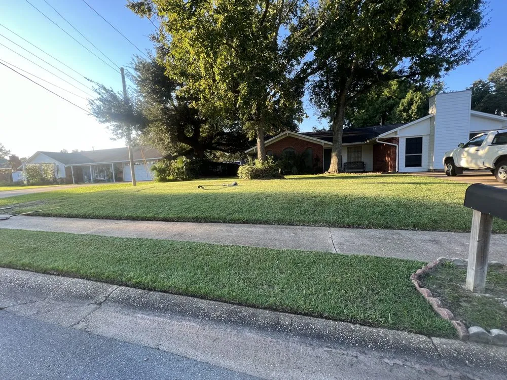 Local yard cleanup service near you in Biloxi, MS by Alpha & Omega Landscaping