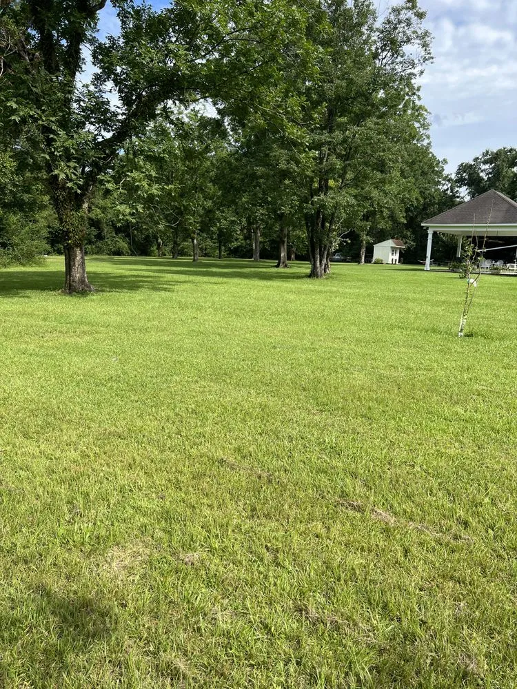 Expert lawn care service in Biloxi, MS - Alpha & Omega Landscaping