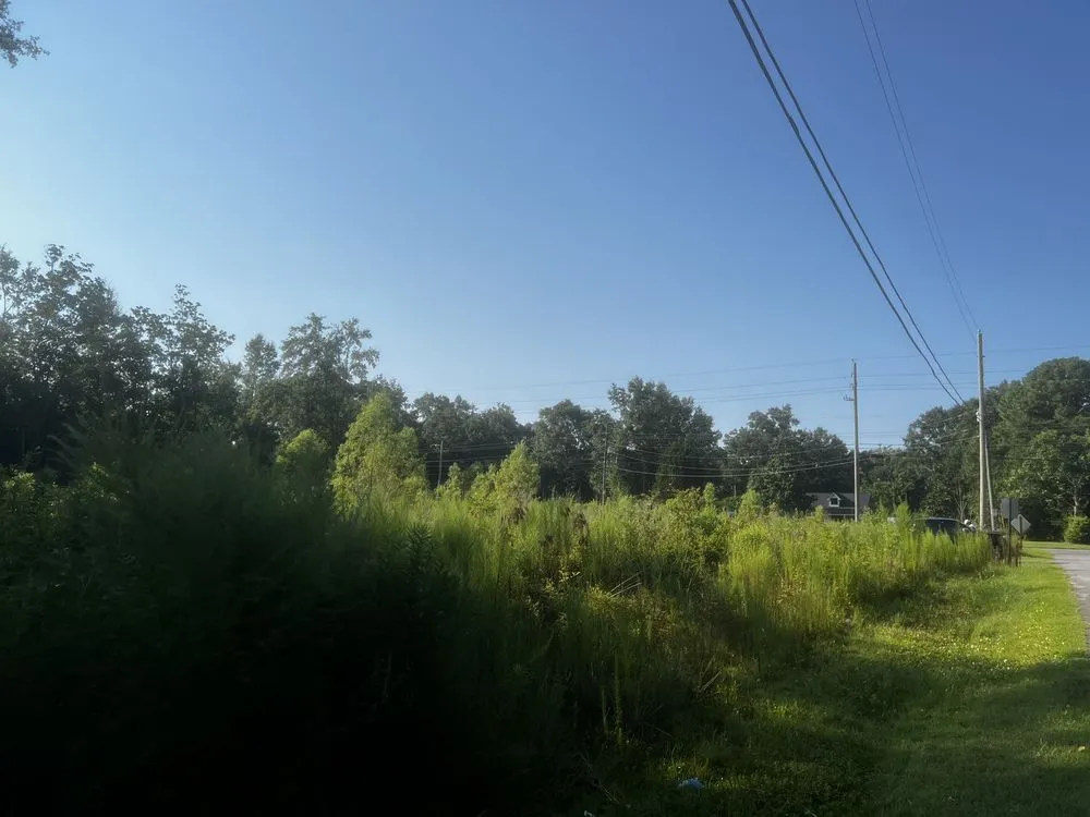 Trusted lawn care service for outdoor upgrades in Biloxi, MS by Alpha & Omega Landscaping