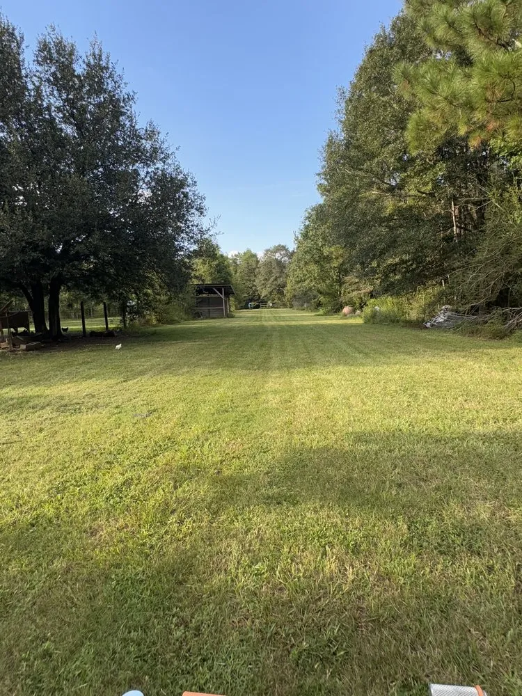 Local landscape installation for residential properties in Biloxi, MS by Alpha & Omega Landscaping