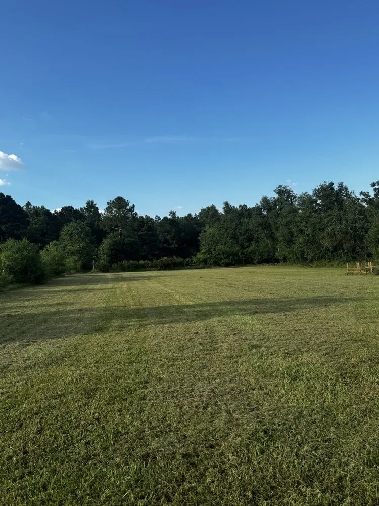 Local yard maintenance in Biloxi, MS - Alpha & Omega Landscaping