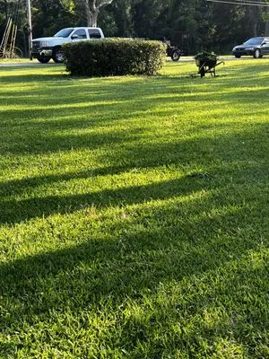 Alpha & Omega Landscaping