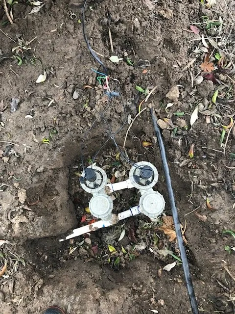 Trusted lawn mowing service with custom design in Paso Robles, CA by Alpha & Omega Landscaping