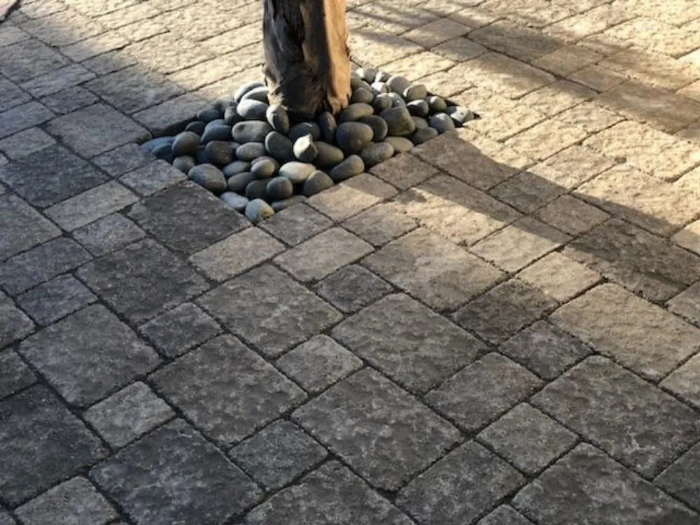 Expert yard cleanup service experts serving Paso Robles, CA - Alpha & Omega Landscaping