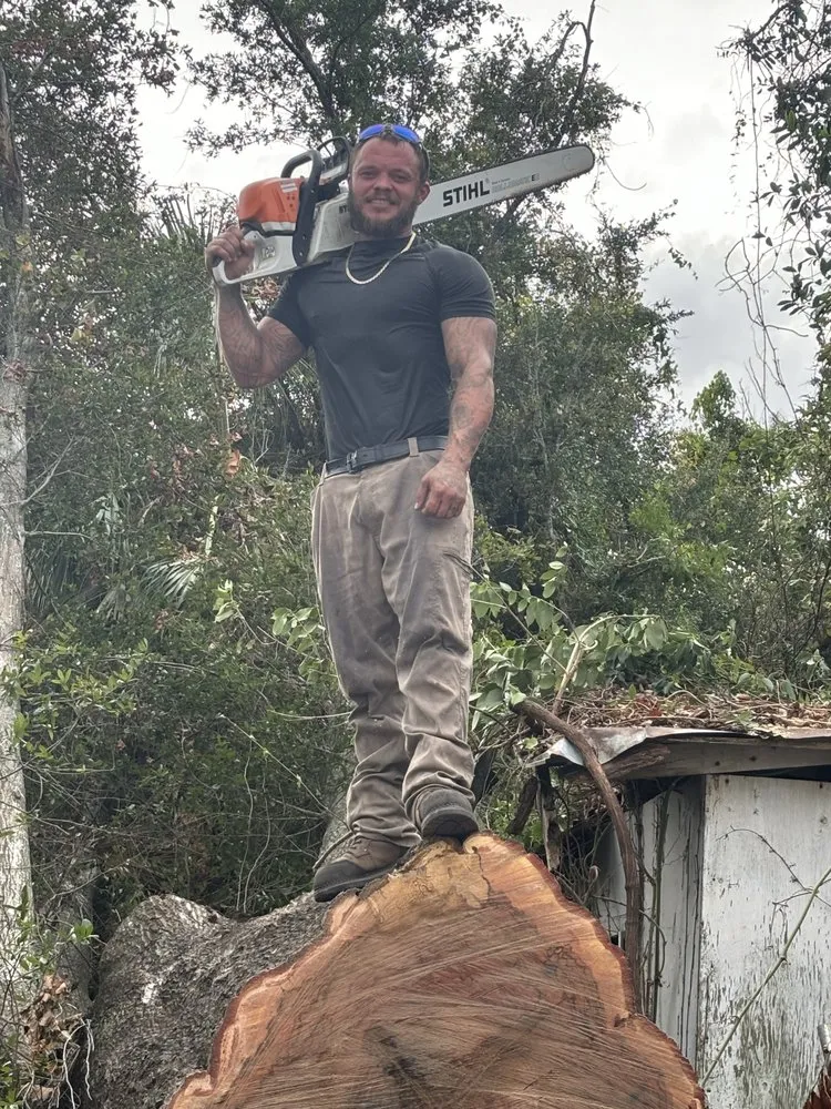 Local residential landscaping in Zephyrhills, FL by Alpha & Omega Tree Service