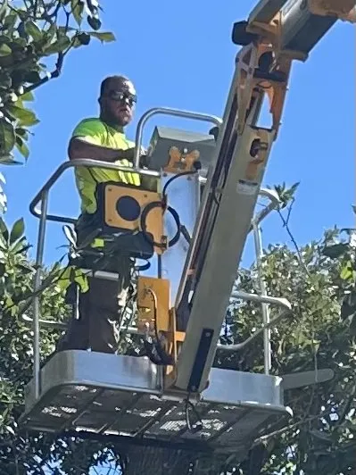 Custom lawn mowing service with custom design across Zephyrhills, FL - Alpha & Omega Tree Service