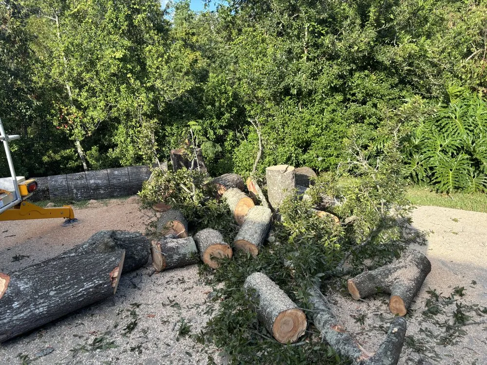 Expert lawn mowing service for beautiful yards across Zephyrhills, FL - Alpha & Omega Tree Service