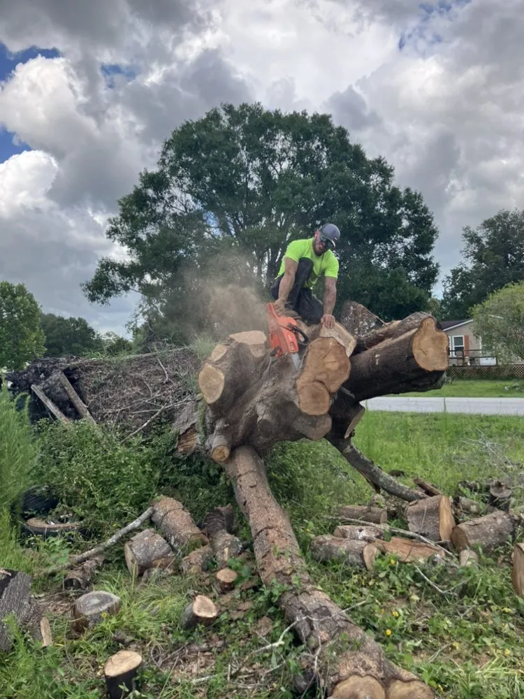 Expert lawn mowing service for outdoor upgrades across Zephyrhills, FL - Alpha & Omega Tree Service