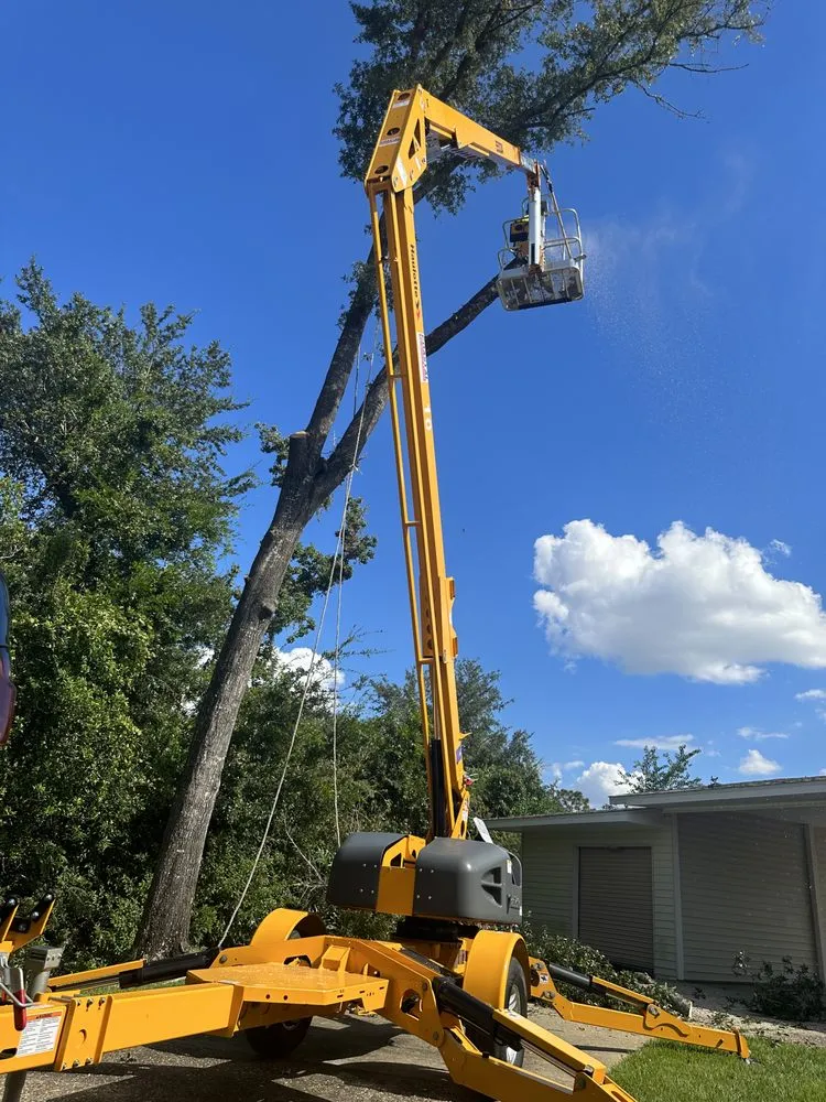 Custom garden landscaping in Zephyrhills, FL - Alpha & Omega Tree Service