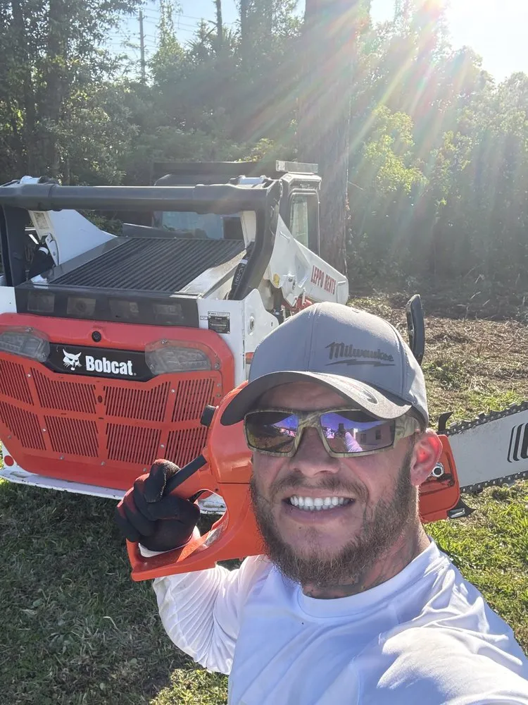 Local yard maintenance in Zephyrhills, FL by Alpha & Omega Tree Service