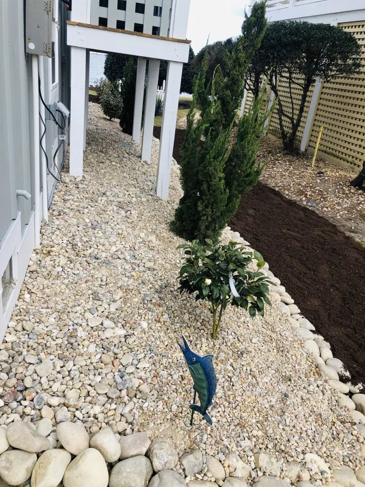 Trusted yard maintenance in Kitty Hawk, NC - Alpha Advantage