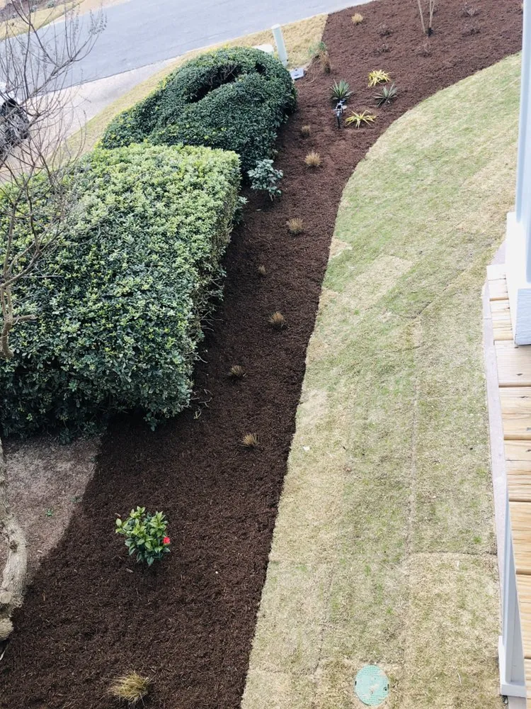 Local outdoor landscaping experts serving Kitty Hawk, NC - Alpha Advantage