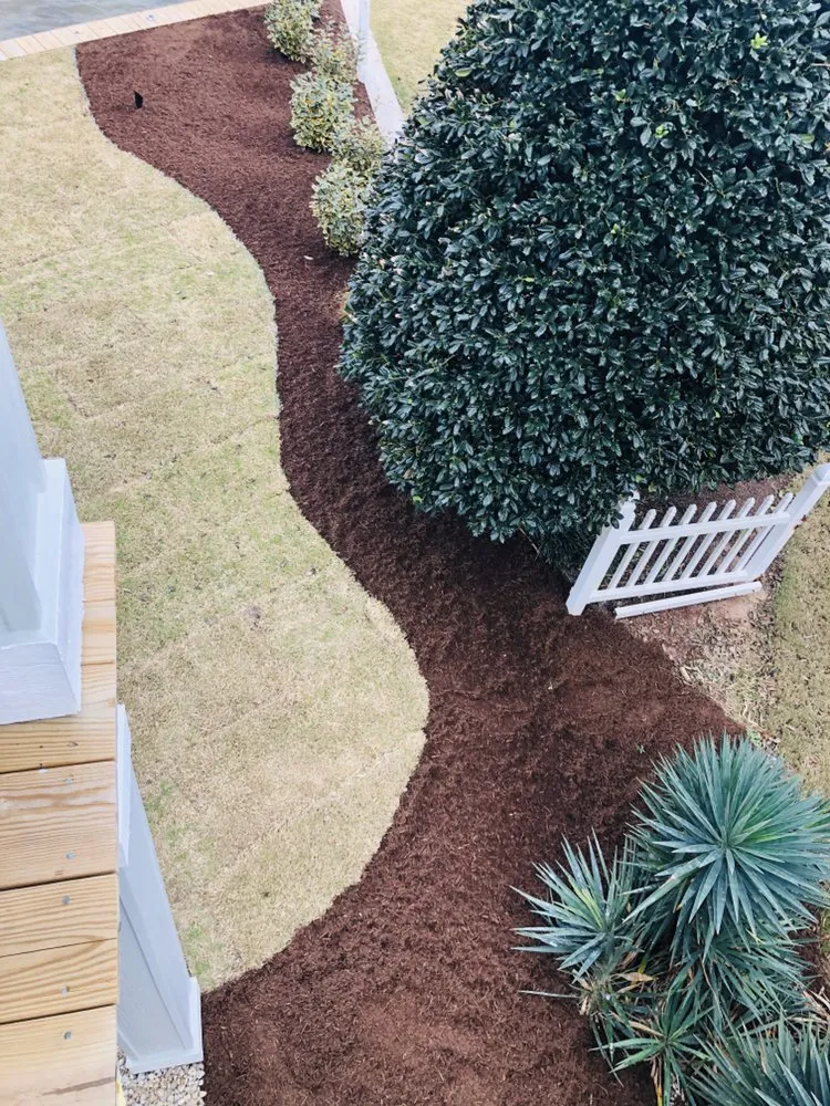 Professional yard maintenance experts serving Kitty Hawk, NC - Alpha Advantage