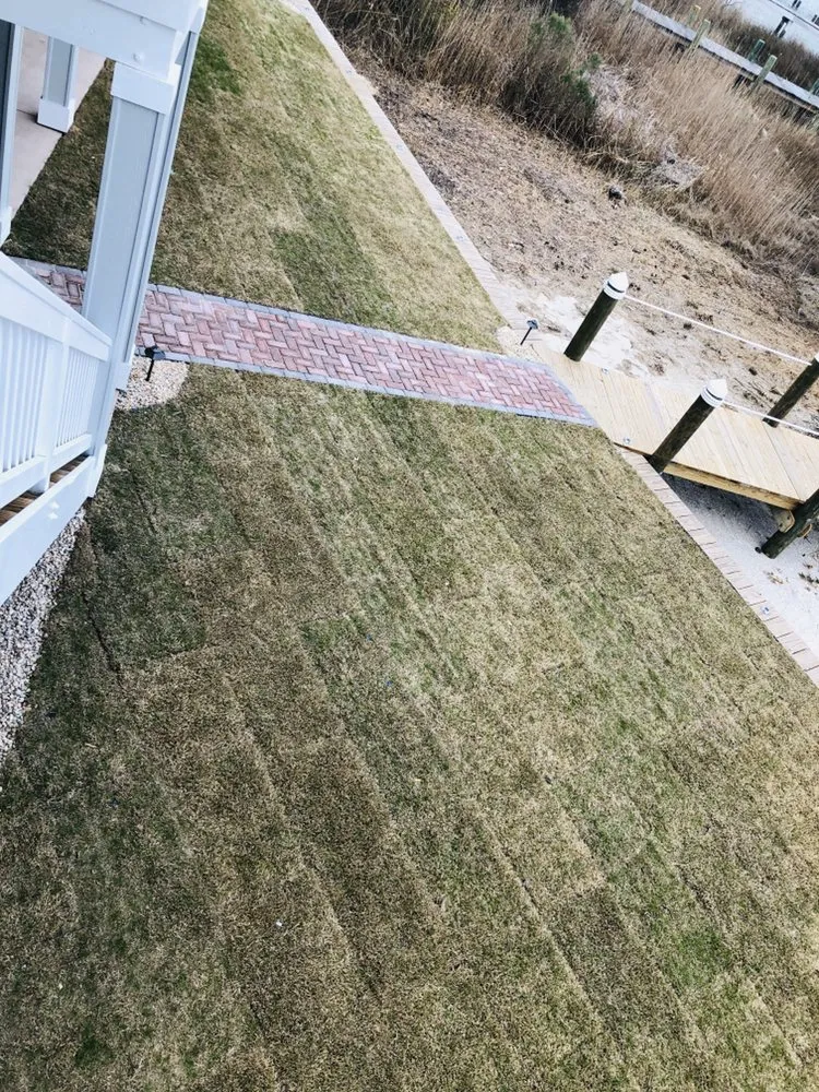 Local yard maintenance for residential properties in Kitty Hawk, NC by Alpha Advantage