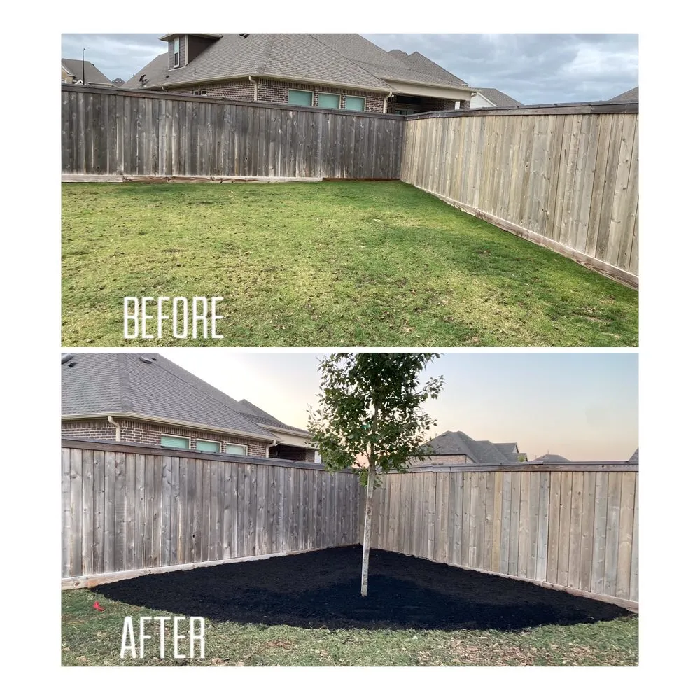 Local landscape design experts serving Katy, TX - Alpha and Omega Landscaping