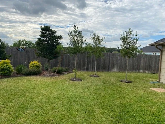 Reliable landscape installation for residential properties across Katy, TX - Alpha and Omega Landscaping