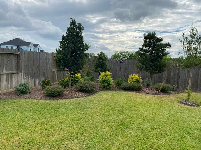 Expert lawn care service near you across Katy, TX - Alpha and Omega Landscaping