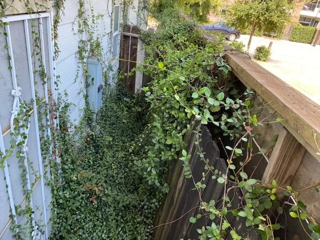 Professional residential landscaping in Katy, TX - Alpha and Omega Landscaping