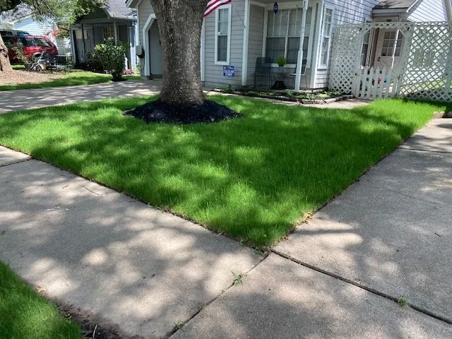 Reliable landscaping services in Katy, TX - Alpha and Omega Landscaping