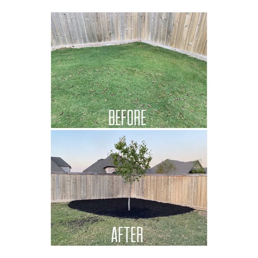 Affordable lawn mowing service for beautiful yards across Katy, TX - Alpha and Omega Landscaping