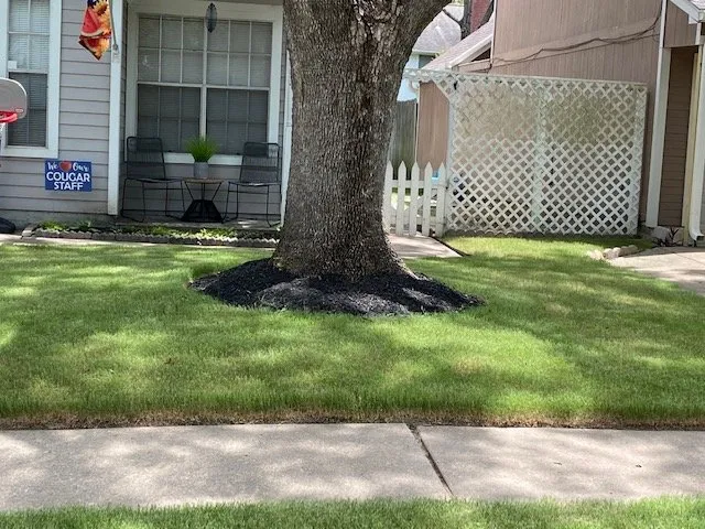 Reliable lawn care service in Katy, TX - Alpha and Omega Landscaping