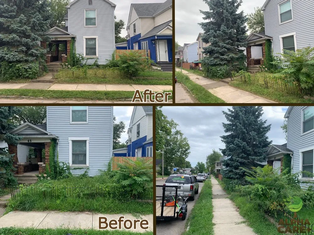 Local outdoor landscaping for year-round maintenance across Dayton, OH - Alpha Care Plus Lawn & Landscape