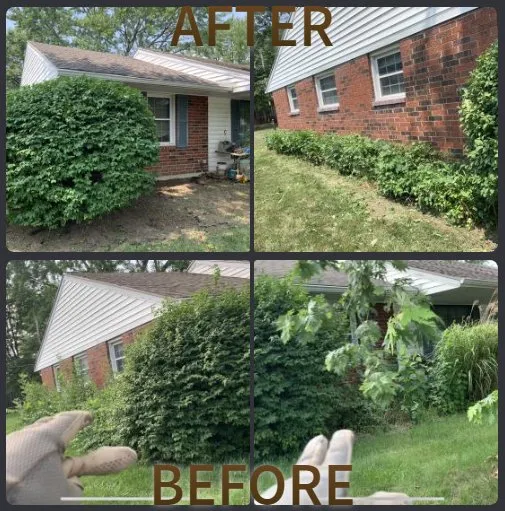 Custom landscaping services for beautiful yards in Dayton, OH by Alpha Care Plus Lawn & Landscape