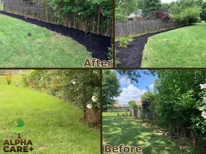 Professional yard cleanup service for residential properties across Dayton, OH - Alpha Care Plus Lawn & Landscape