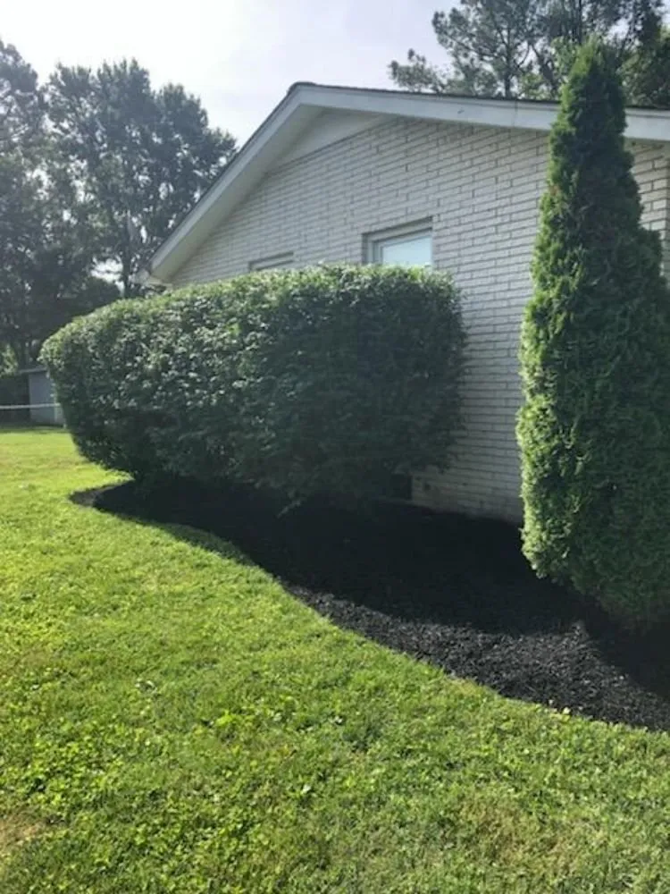Trusted residential landscaping in Smyrna, TN by Alpha Company Lawn Care