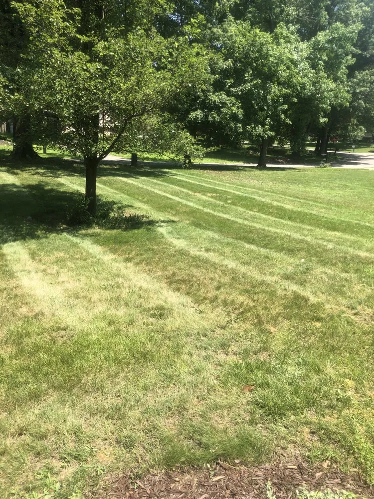 Expert landscape installation in Cleveland, OH - Alpha Company Logistics