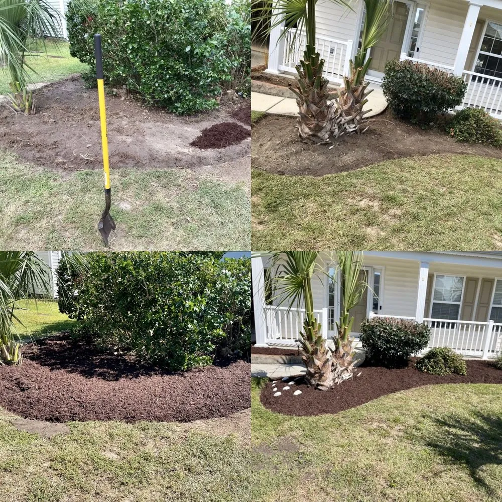 Affordable lawn mowing service experts serving Socastee, SC - Alpha Cutz