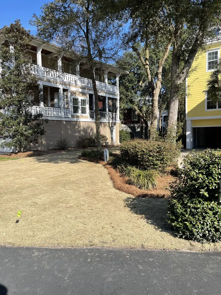 Professional lawn care service with custom design across Socastee, SC - Alpha Cutz