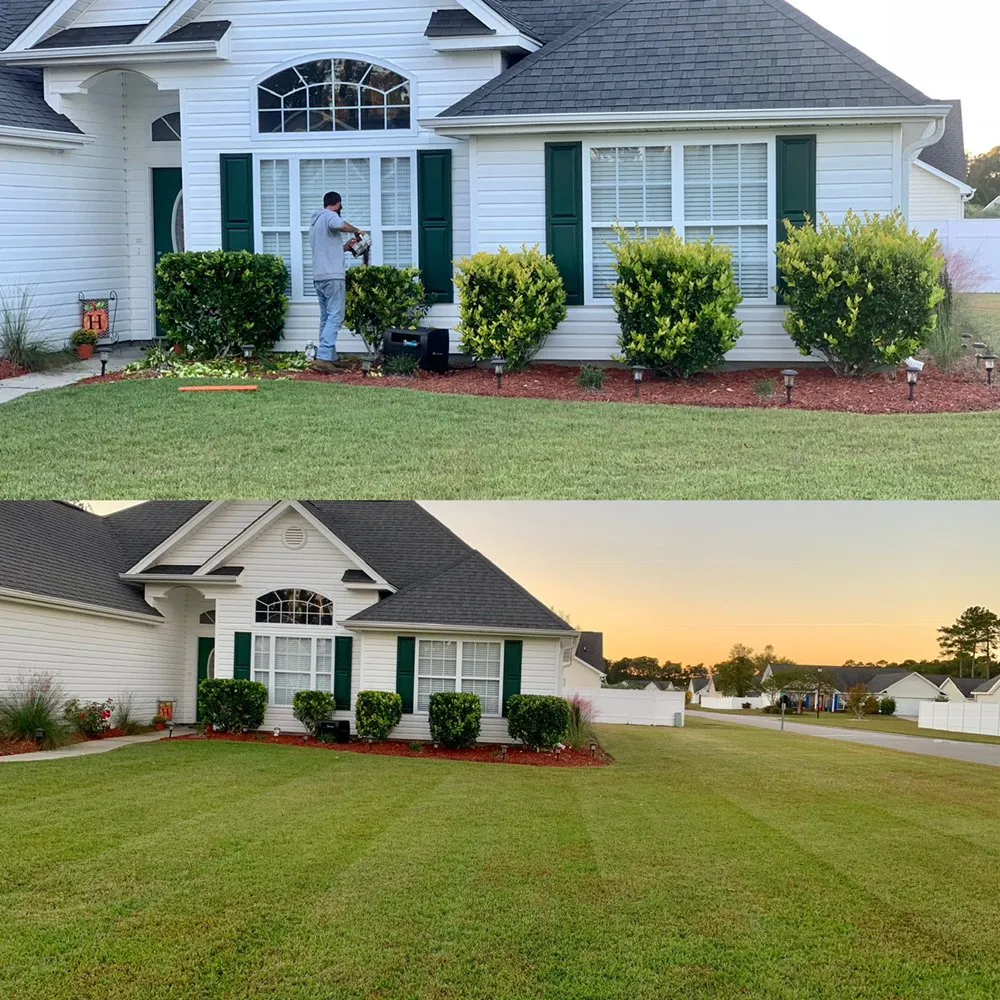Local lawn care service for residential properties in Socastee, SC by Alpha Cutz