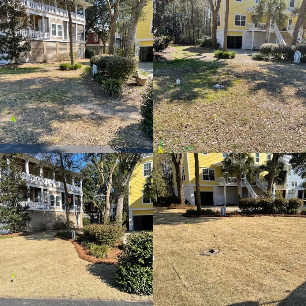 Professional landscaping services in Socastee, SC by Alpha Cutz