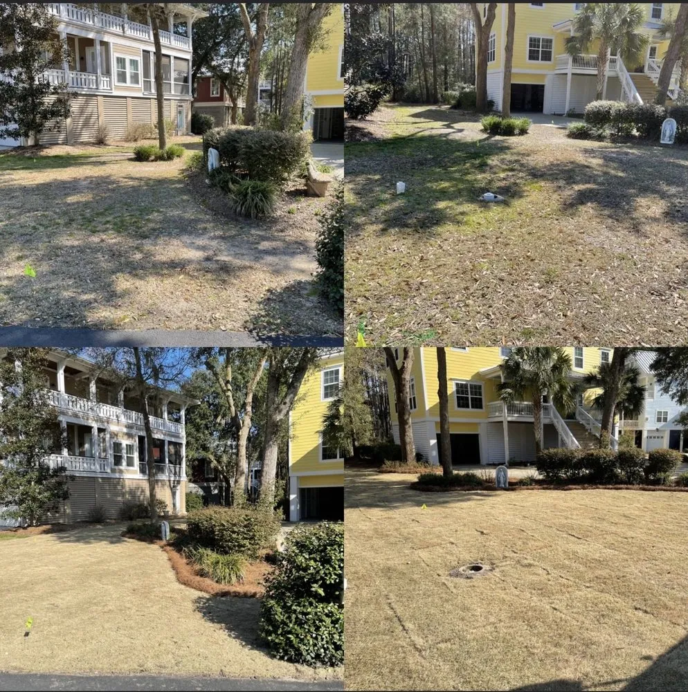 Top-rated yard maintenance in Socastee, SC - Alpha Cutz