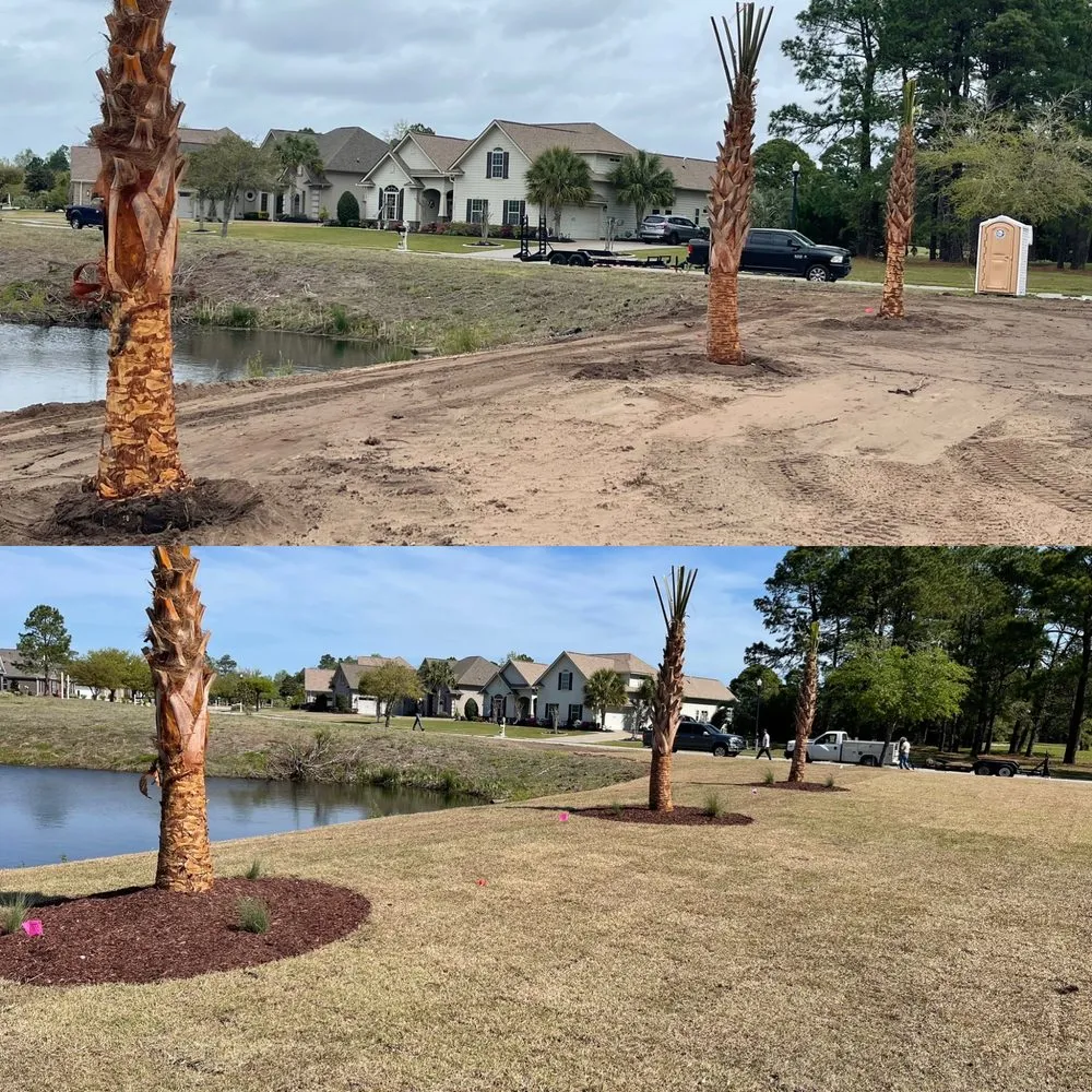 Custom landscape installation for homes across Socastee, SC - Alpha Cutz