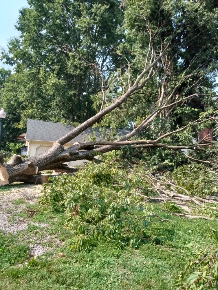 Reliable garden landscaping experts serving Shelbyville, IN - Alpha Dog Tree Service & Lawn Care