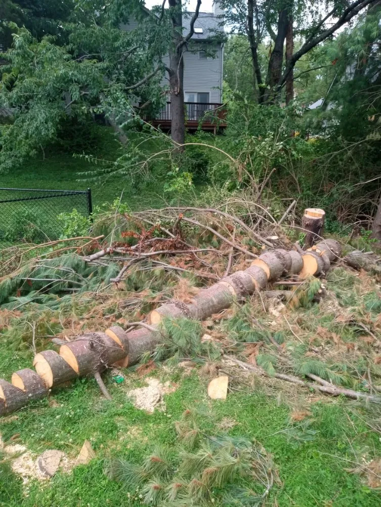 Affordable landscape installation for year-round maintenance in Shelbyville, IN by Alpha Dog Tree Service & Lawn Care