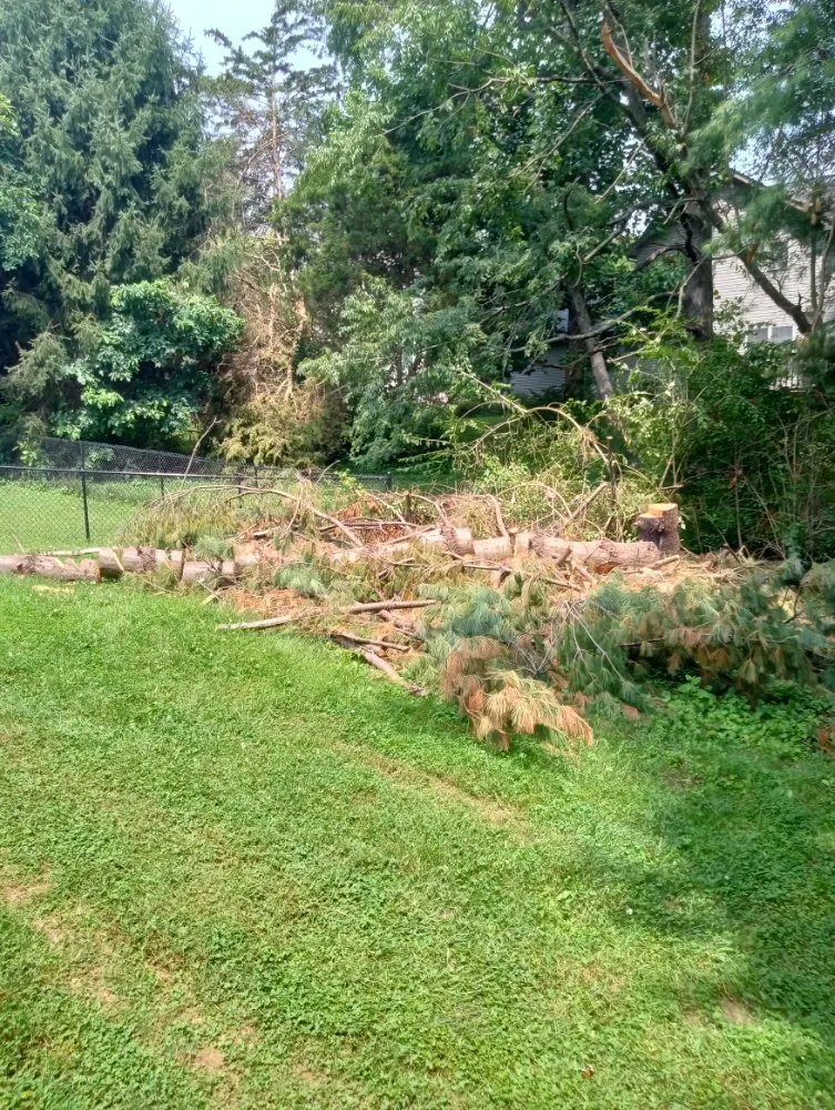 Custom lawn care service for outdoor upgrades across Shelbyville, IN - Alpha Dog Tree Service & Lawn Care