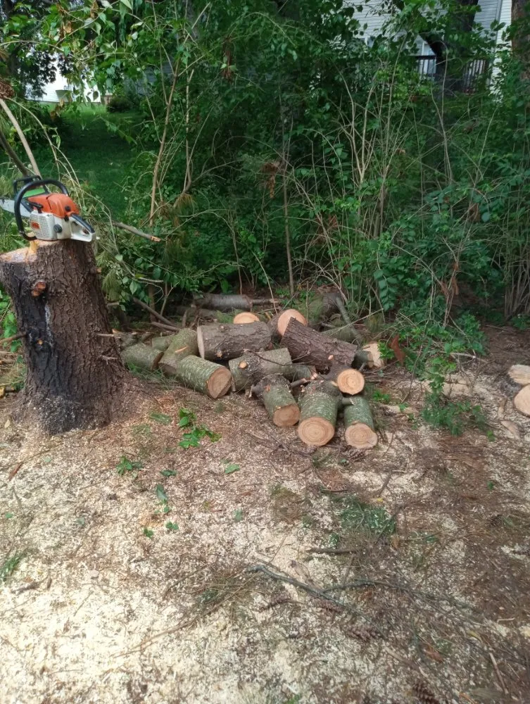 Custom landscaping services in Shelbyville, IN by Alpha Dog Tree Service & Lawn Care