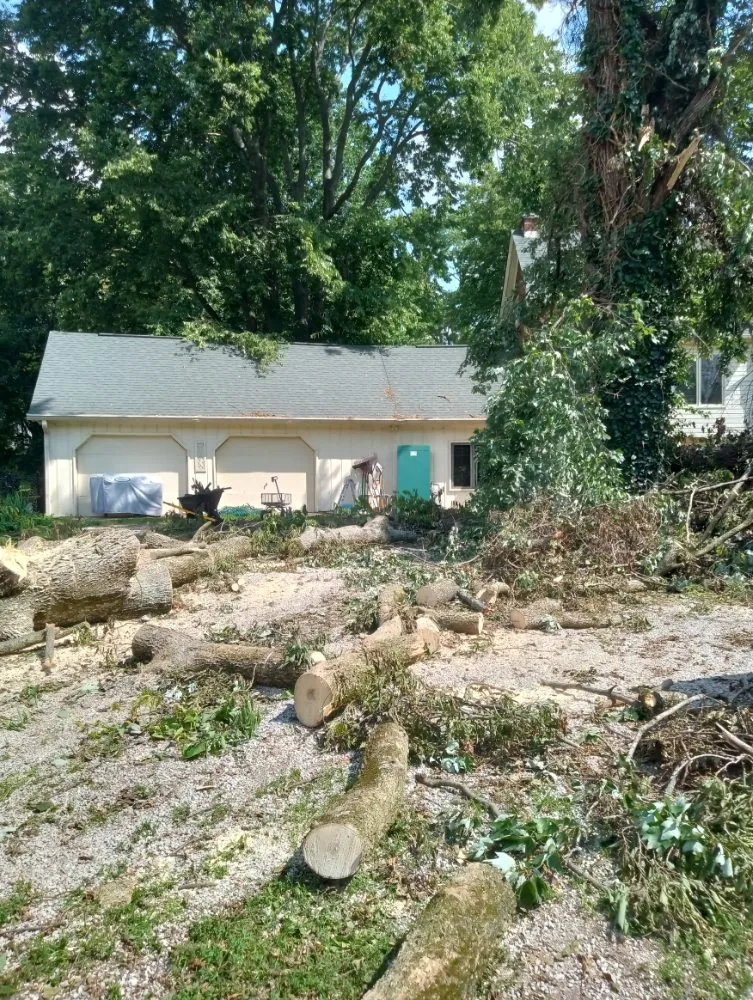 Trusted yard maintenance experts serving Shelbyville, IN - Alpha Dog Tree Service & Lawn Care